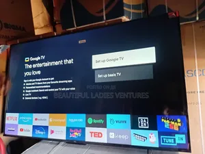 Hilarious Showing on TCL 55inches the Fabulous Joy With Families