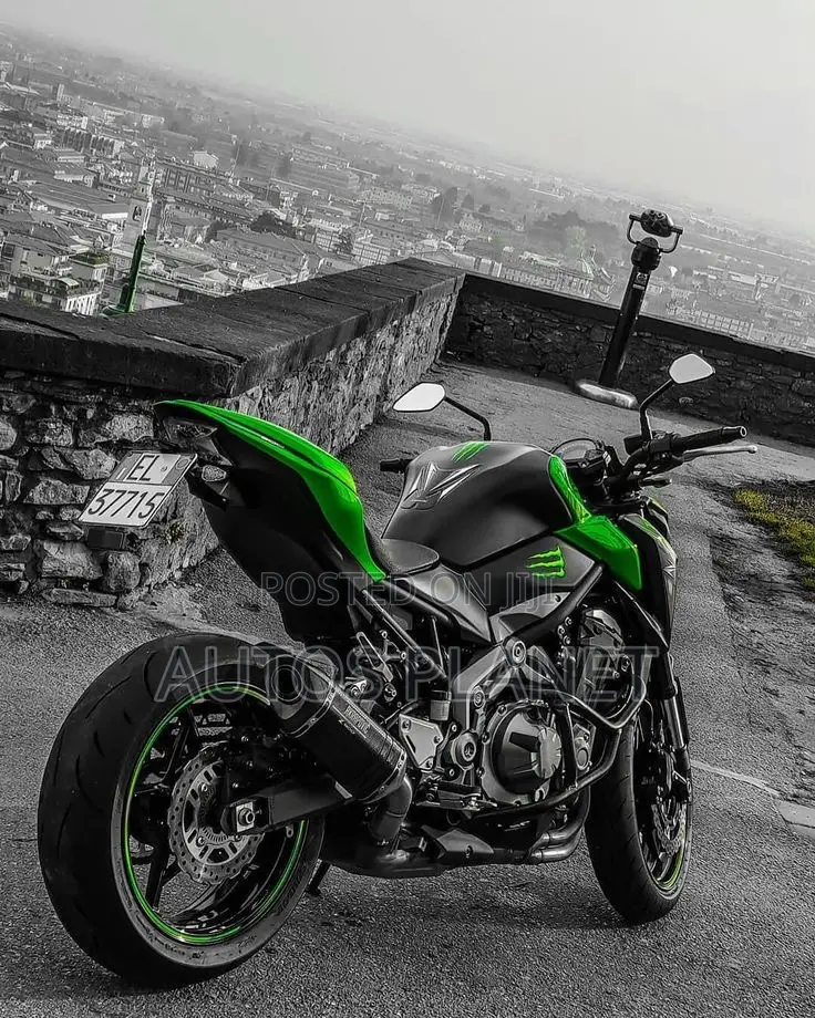 New Kawasaki Z900 2025 Green