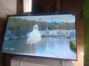 Quantum Dot Master TCL Digital Uhd TCL Tv