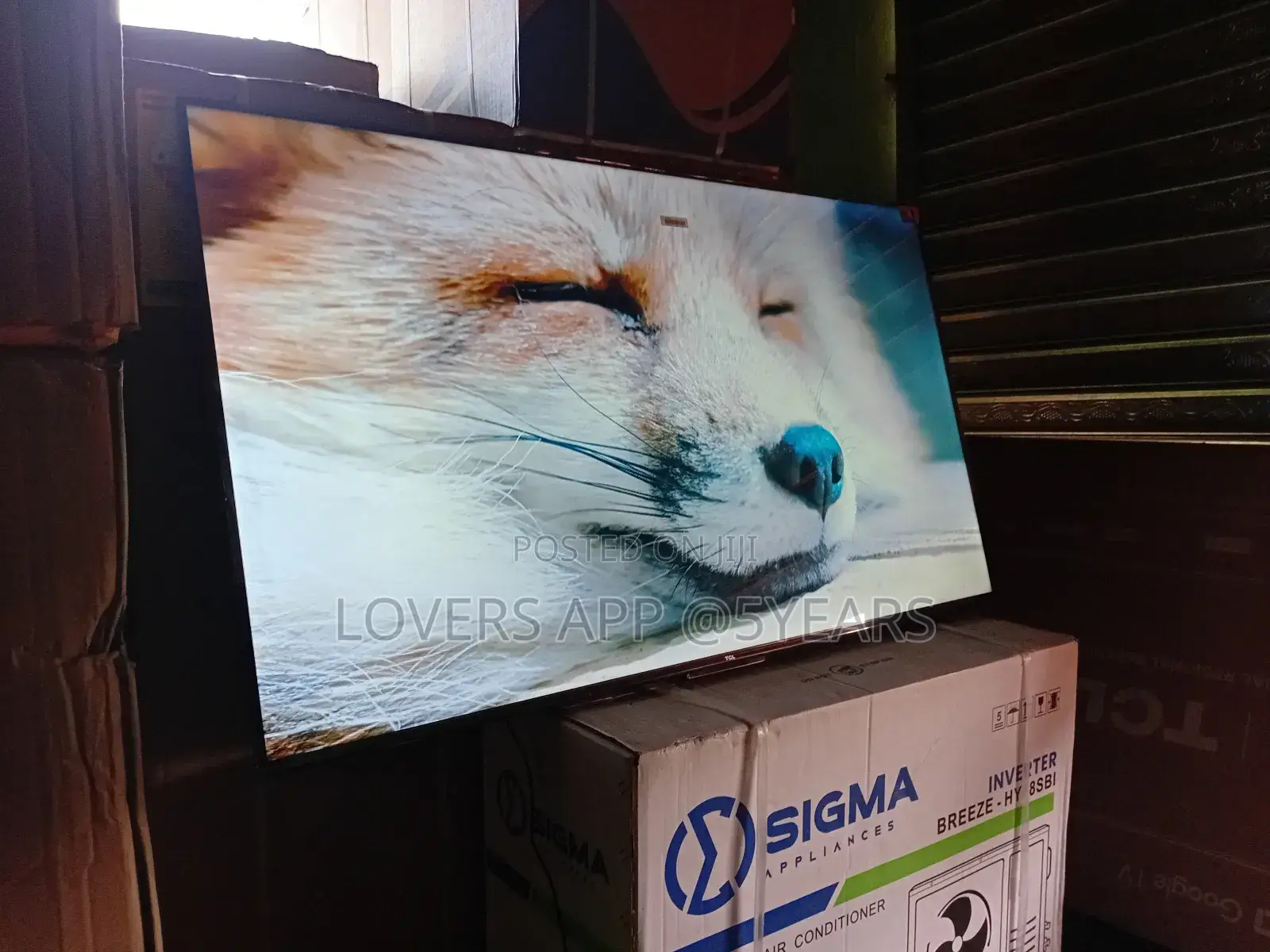 Cinematic Experience at Home – TCL 65inches Smart Tv
