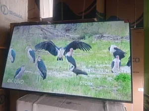  Uhd TCL Digital Experience TCL Tv