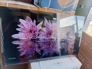7. TCL 65-Inch Led Smart Tv – High Performance, Great Value
