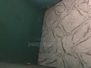 Good Finishing Master Tiler