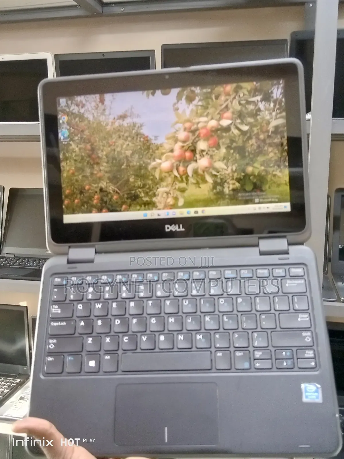 Laptop Dell Latitude 3180 8GB Intel Pentium SSD 128GB