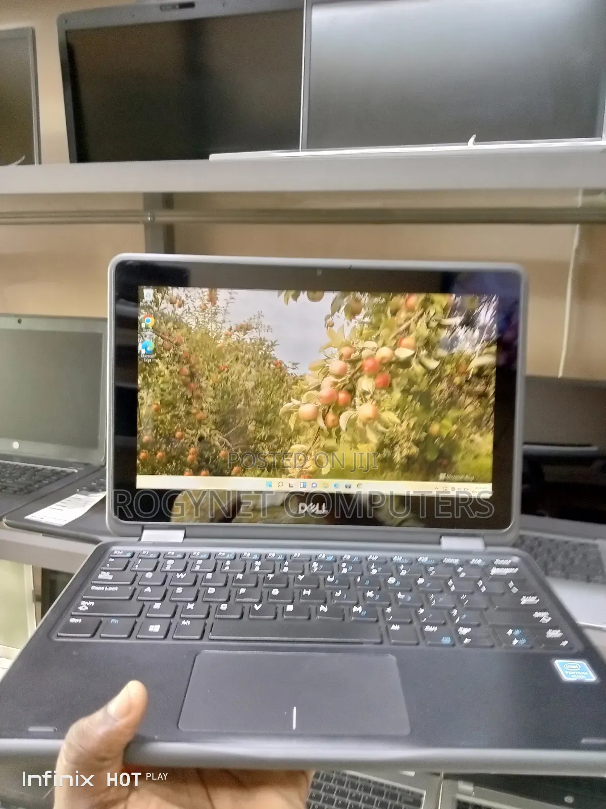 Laptop Dell Latitude 3180 8GB Intel Pentium SSD 128GB