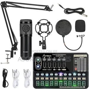 Professional Condenser Studio Microphone Set