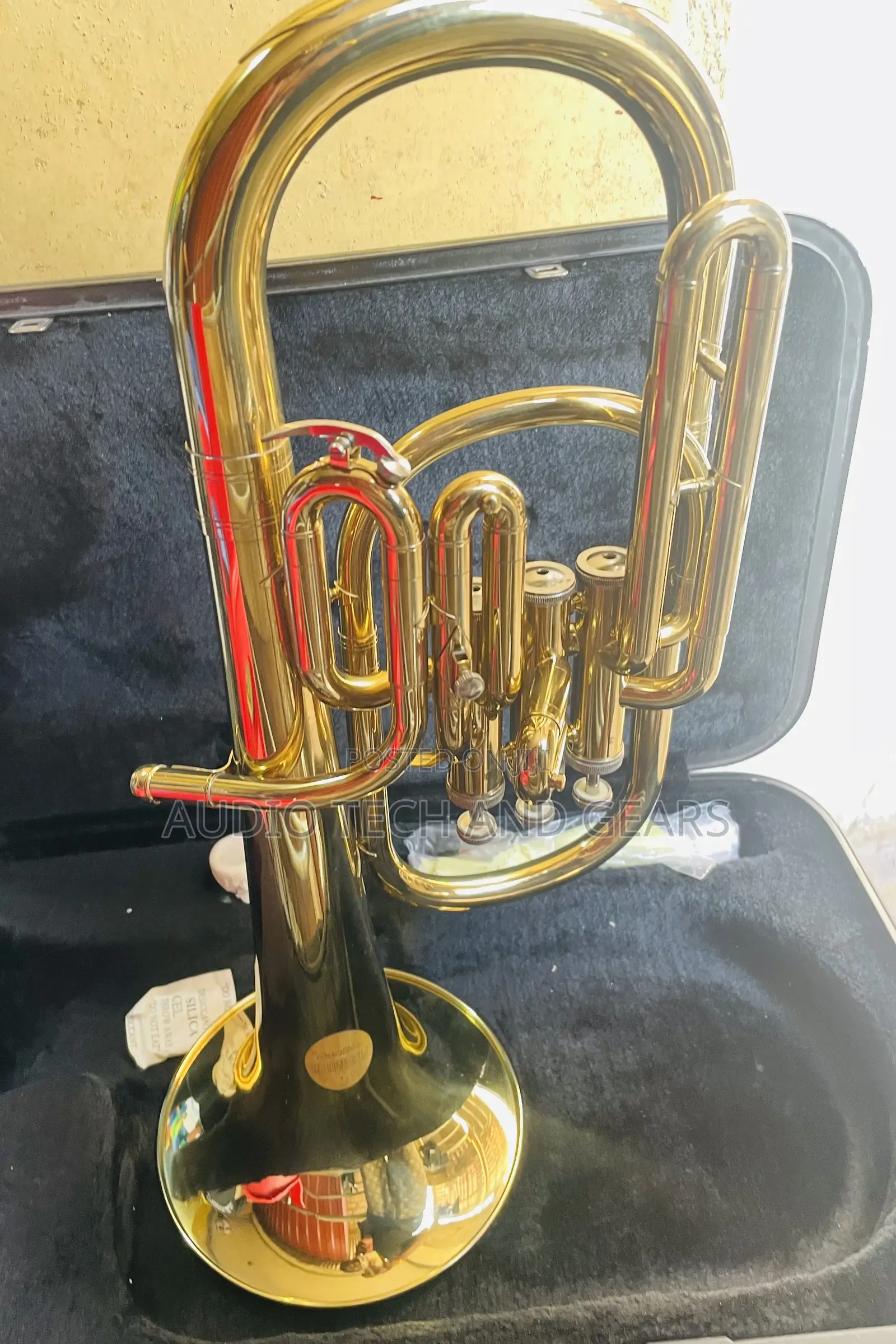 Alto Horn - Gold