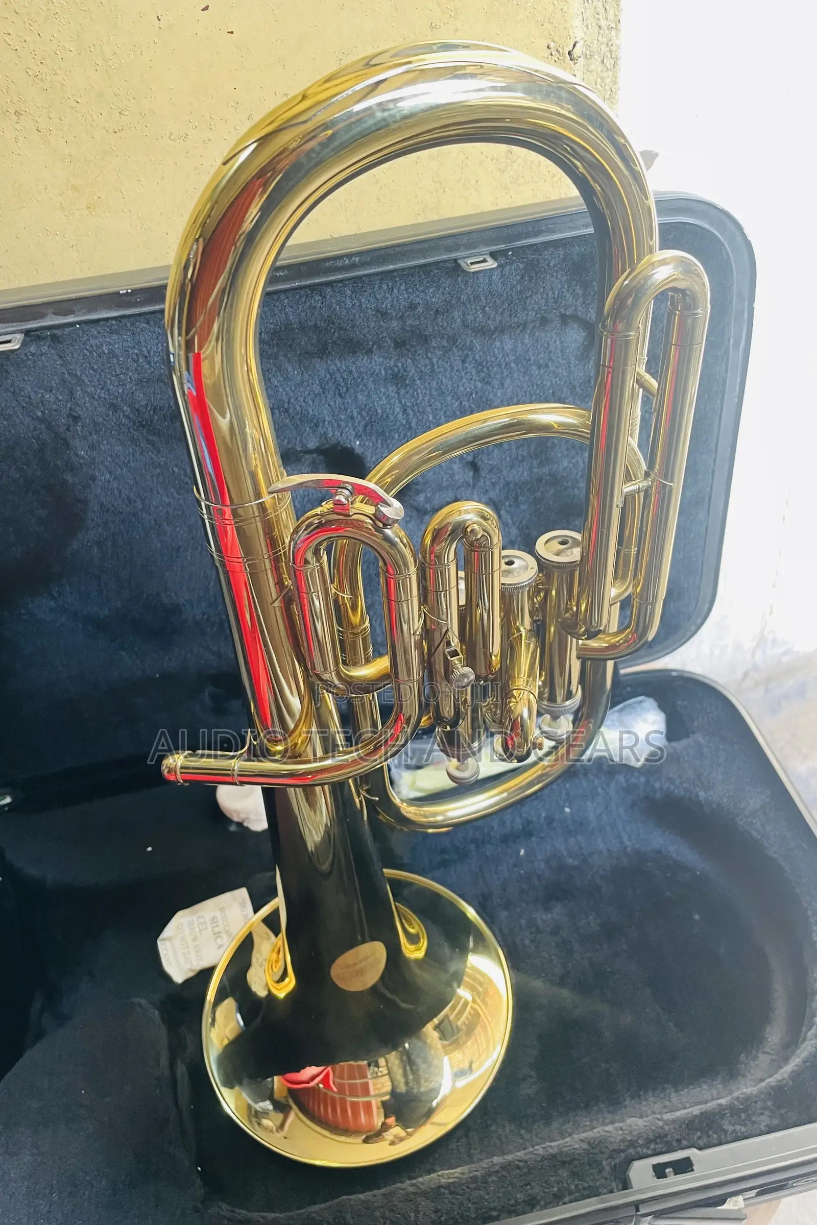 Alto Horn - Gold