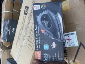 Raf Professional Electric Steam Iron at Wholesale Prices