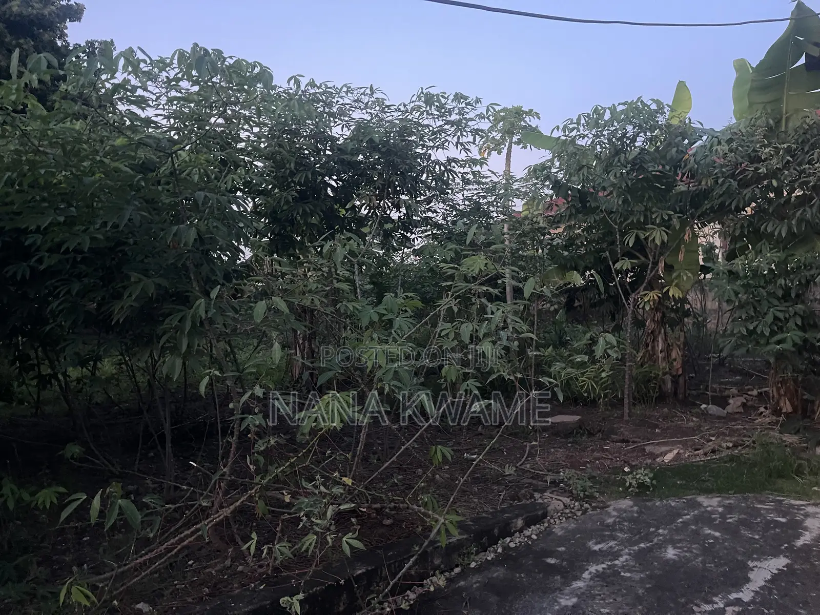 Land Closed to the Road for Sale