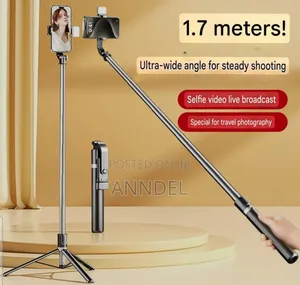 Tripod or Selfie Stick