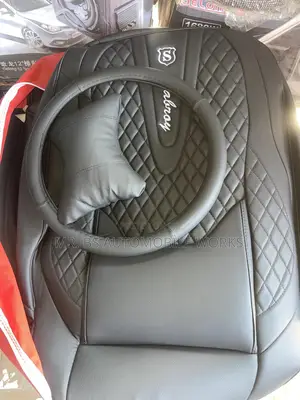 Beautiful Black Seat Cover With Steer Coat & Pillows