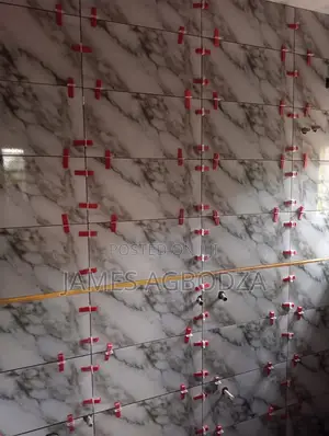 Professional Master Tiler.