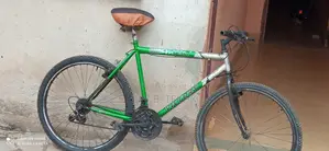 Bycycle 2020 Green