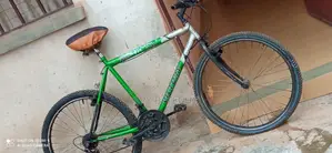 Bycycle 2020 Green