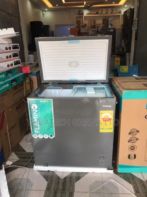 Flamino 199l Chest Freezer With Fast Cooling And Freezing Features