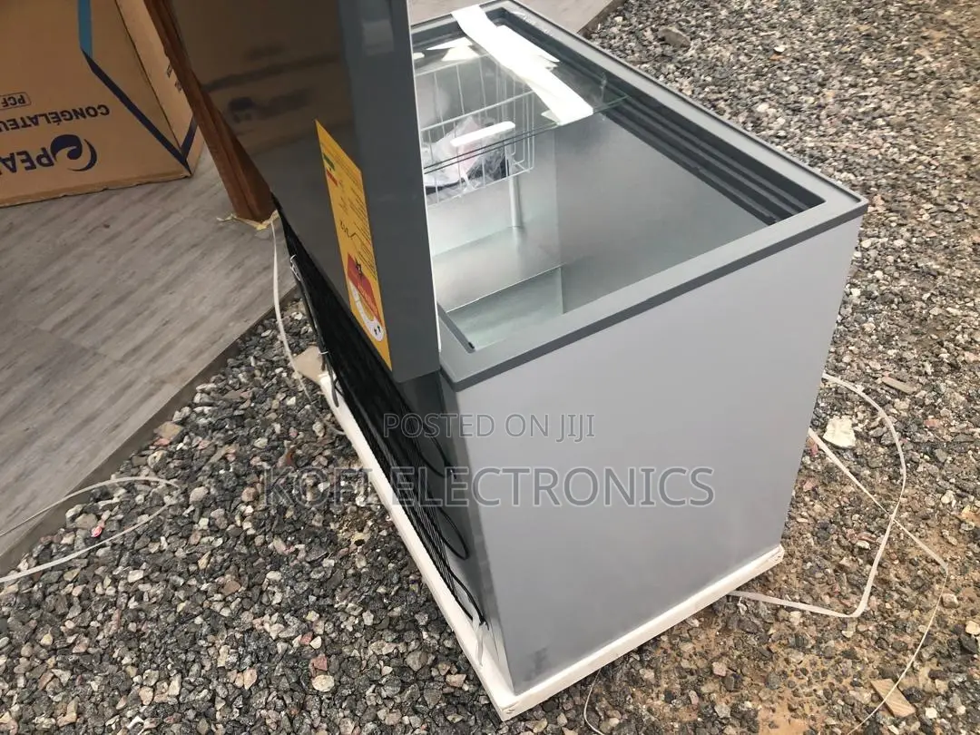Durable Anti-Rust Freezer for Commercial Use 200l
