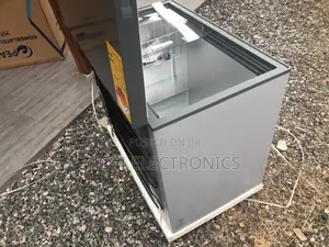 Durable Anti-Rust Freezer for Commercial Use 200l