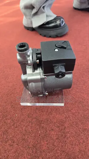 Circulation Pump, or Hot Water Pump