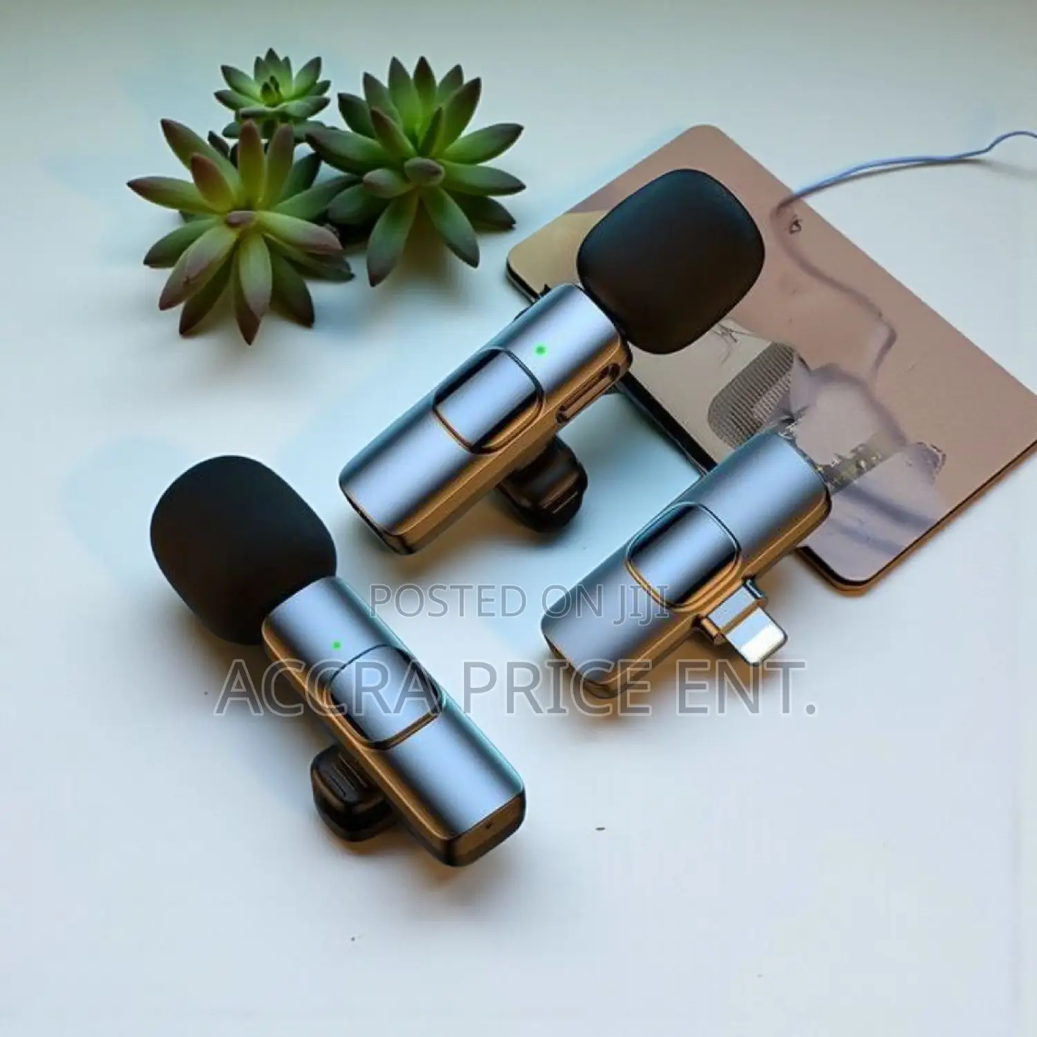 Portable 2 in 1 Wireless Microphone (64366)