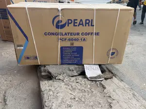 All New Pearl 600 Liters Double Dor Chest Freezer