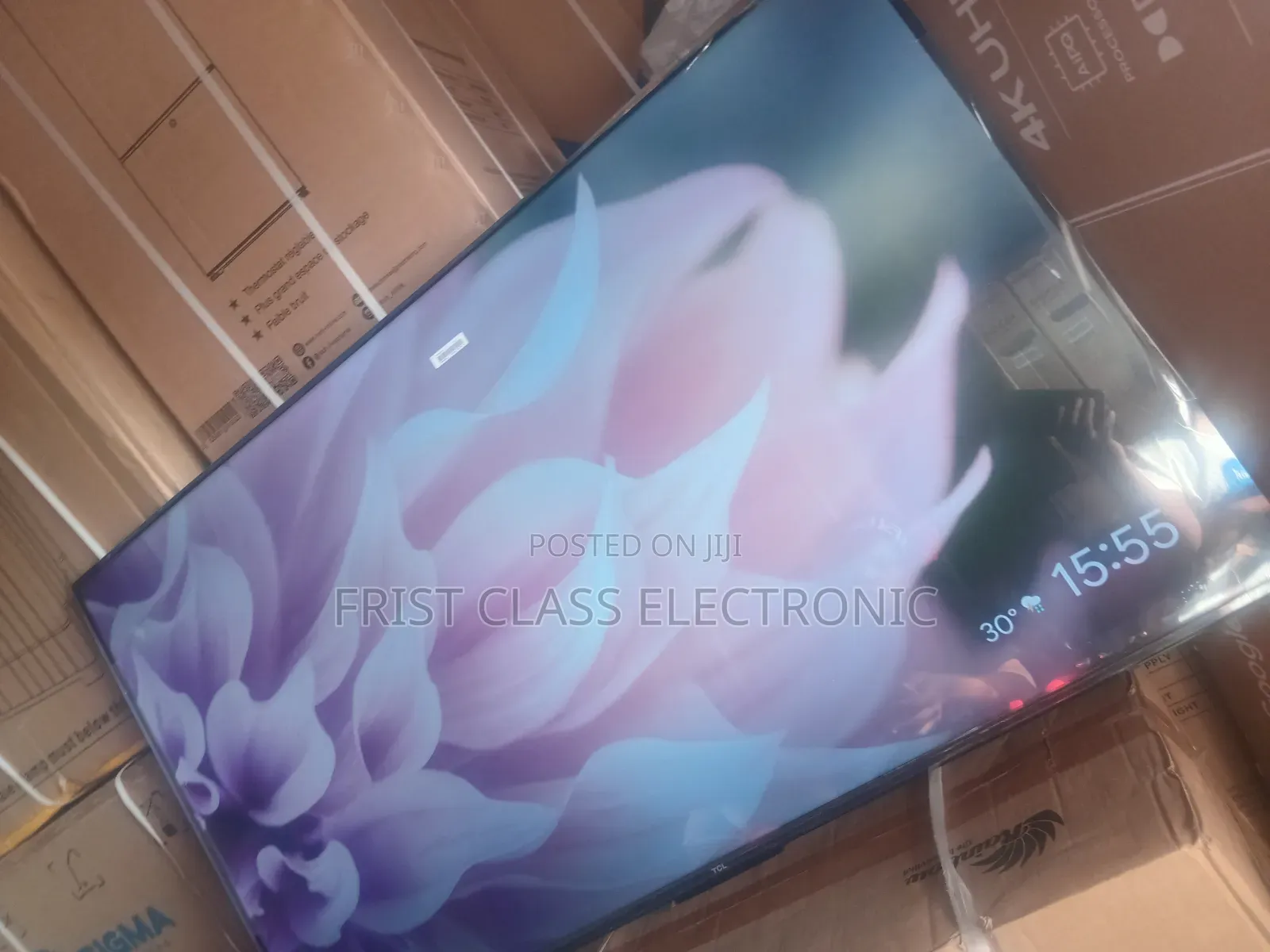 Immersive Viewing, Endless Fun