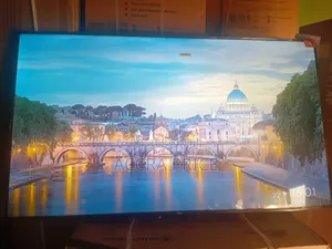 Echo Live Sight TCL 55