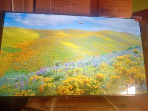 Reliability at Your Disposure Tcl55
