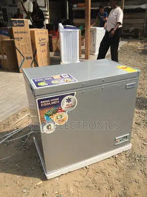 Compact Nasco 200l Freezer Fast Cooling and Low Noise Design