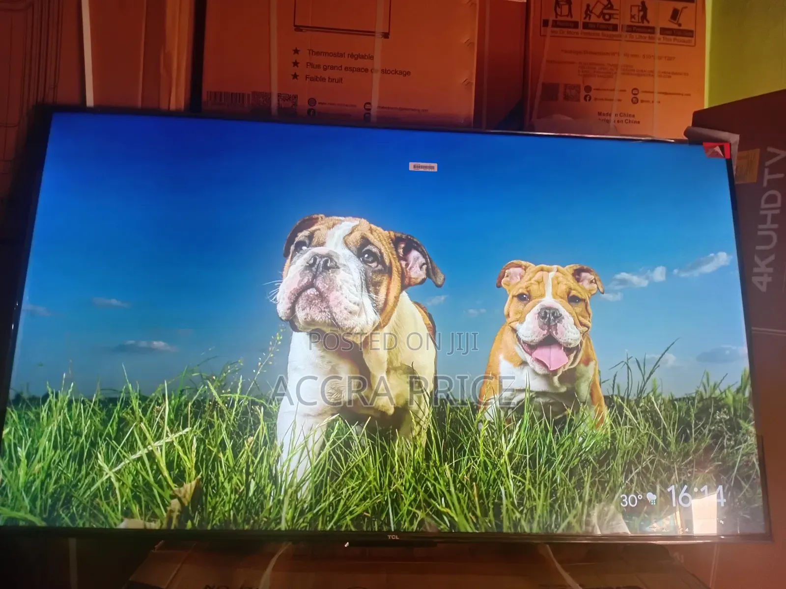Break Them Ego With Tcl55