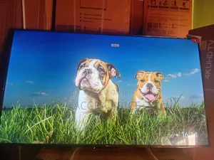 Break Them Ego With Tcl55