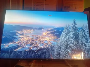 Lavish Creed Tcl55