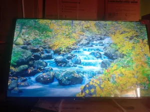 World's Pride Tcl55
