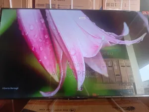 The Majesty Crown Tcl55