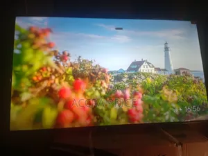 Lovely Hills Vision Tcl55