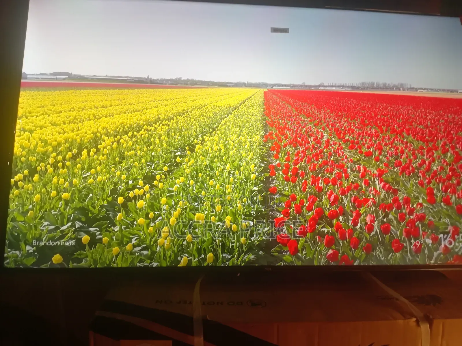Simple Cost in Living Tcl55