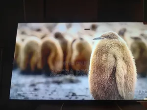 Star Mount Tcl55