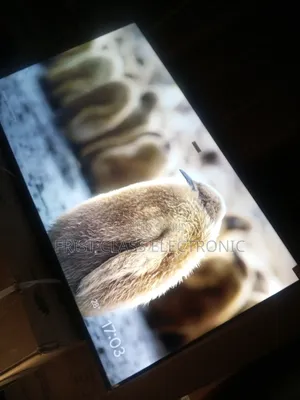 Tcl, Elevate Your Viewing Experience