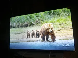 See It Like Never Before
