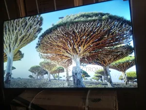 Viewing Perfection With TCL