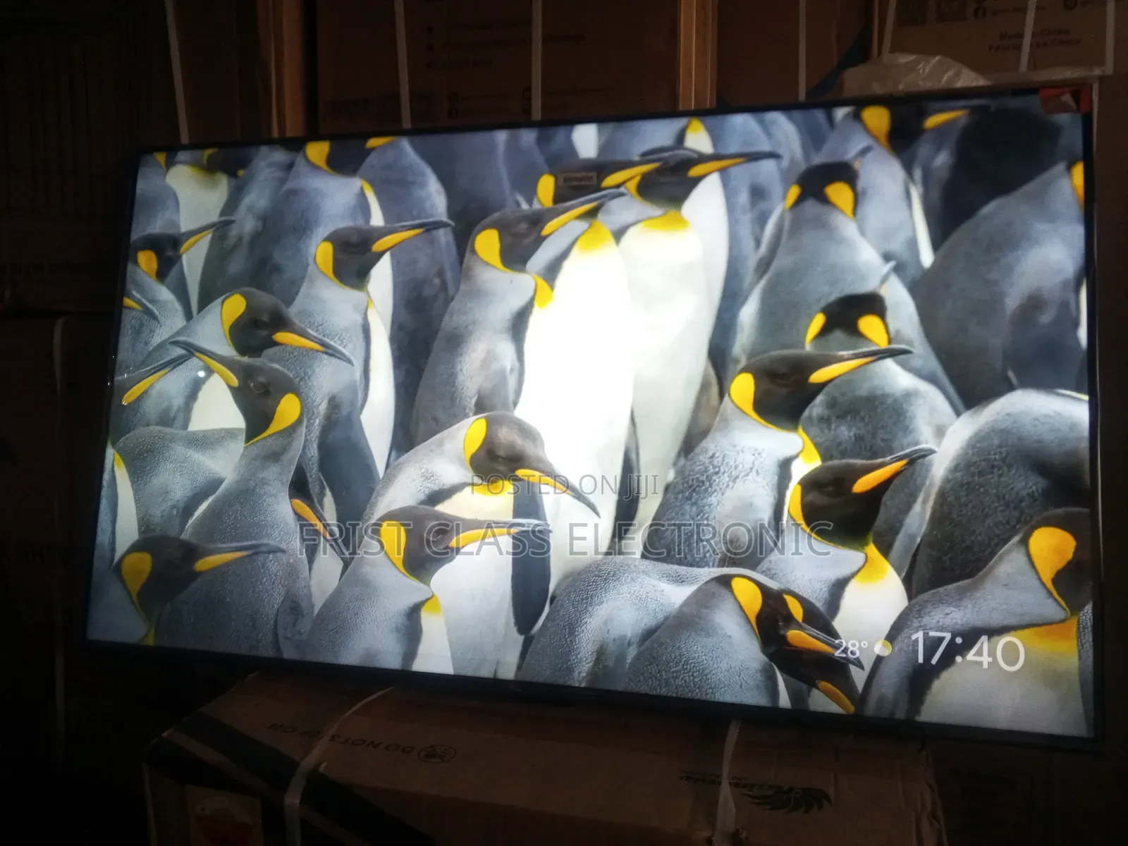Tcl,Your New Entertainment