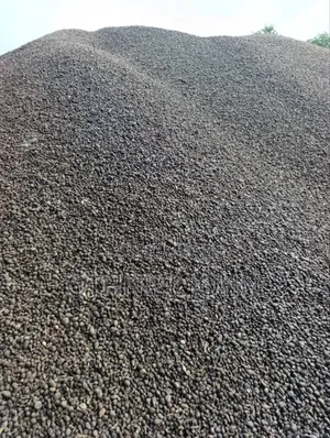 Palm Kernel Nut for Sale in Bulk Only