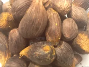 Palm Kernel Nut for Sale in Bulk Only