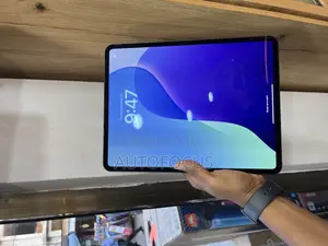 Apple iPad Pro 13 (2024) 256 GB Gray