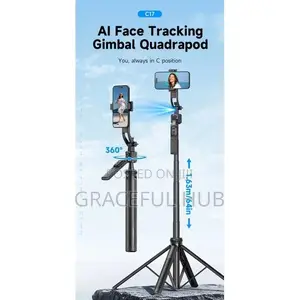 C17 Quadrapod