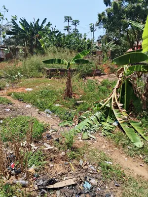 1 Plot for Sale Comm3 Close to 3 Gym Area