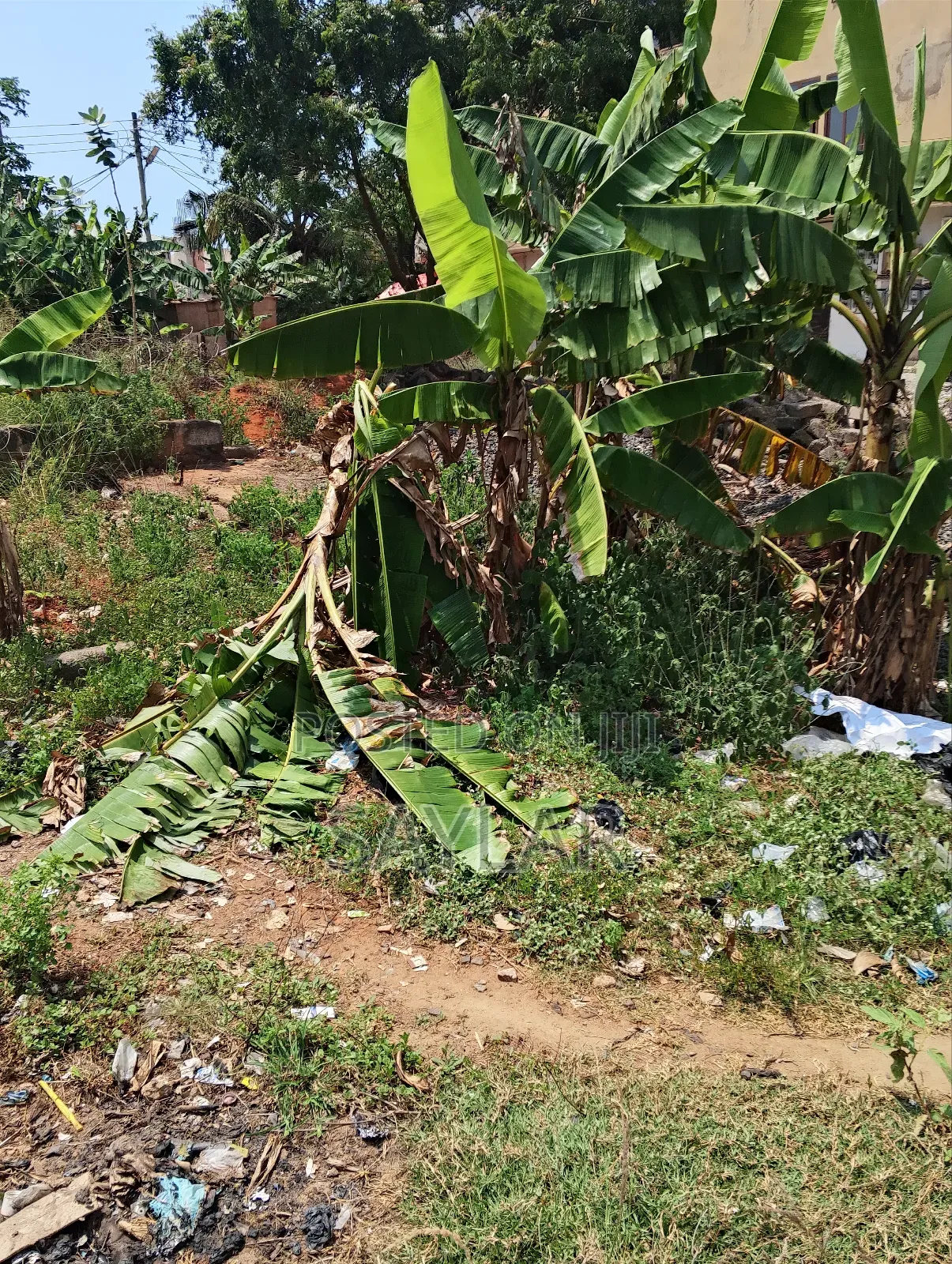 1 Plot for Sale Comm3 Close to 3 Gym Area