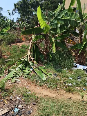 1 Plot for Sale Comm3 Close to 3 Gym Area