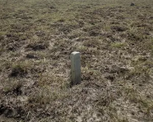 Demarcated Estate Plots