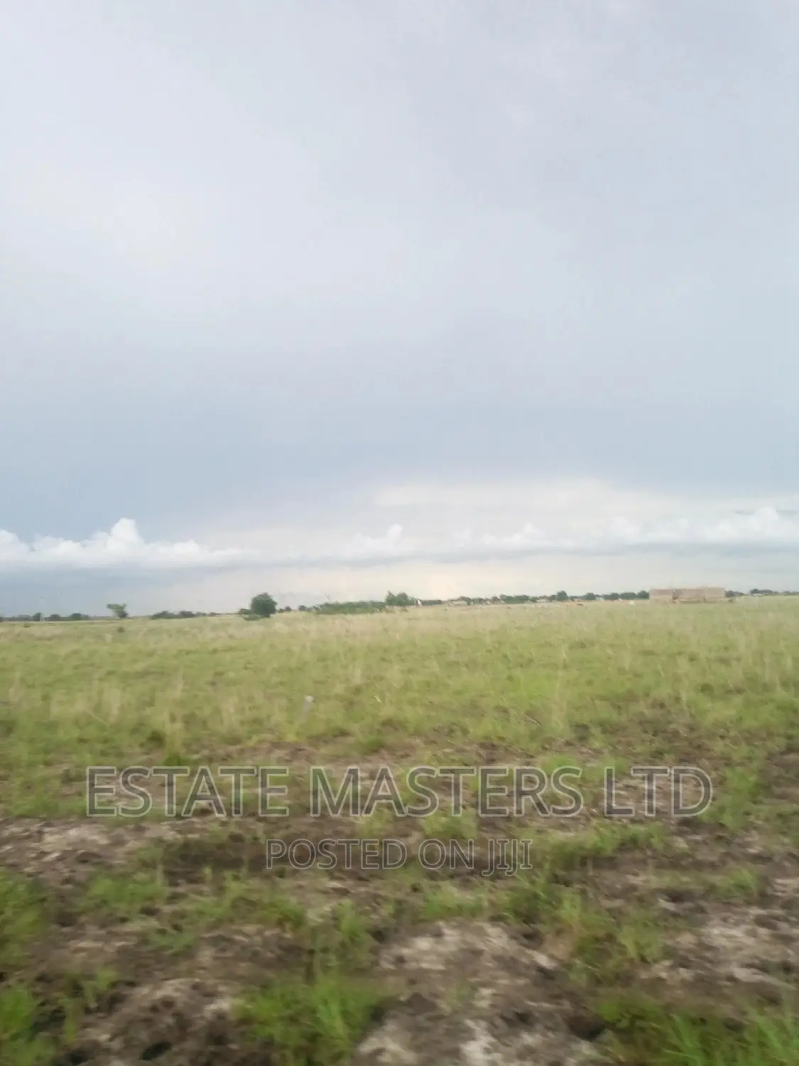Demarcated Estate Plots